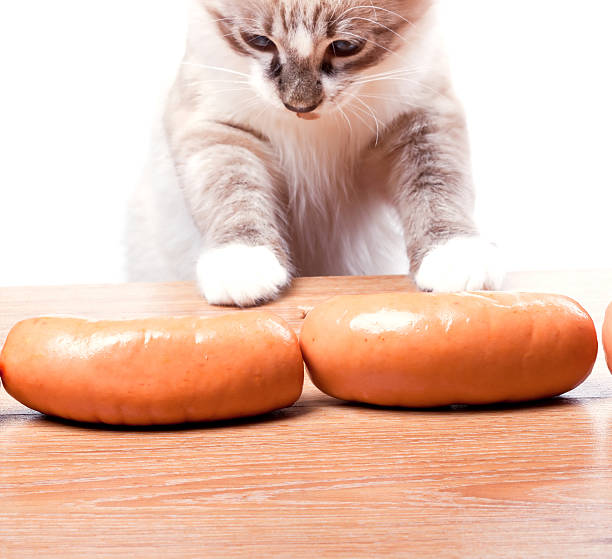 istock cat tries to steal a sausage 466989775