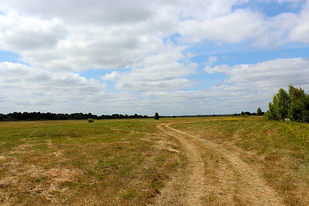 istock summer landscape with rural road in the field 466990393