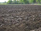boden-vor-sown.jpg?b=1&s=170x170&k=20&c=