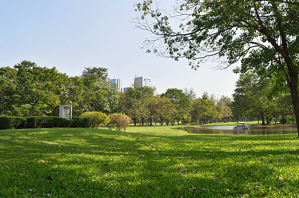istock Green grass field in big city park 466994782