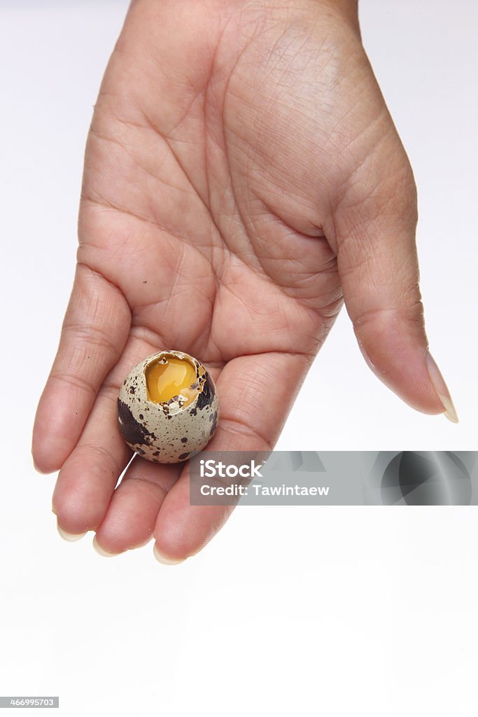 Quail egg broken in hand Above Stock Photo