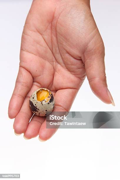 Quail Egg Broken In Hand Stock Photo - Download Image Now - Above, Animal, Animal Egg