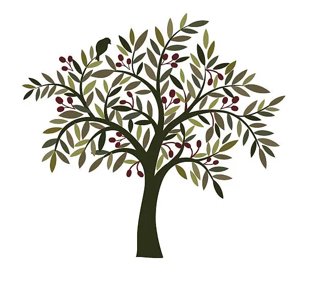 Vector illustration of Illustration of an olive tree with a bird in the branches