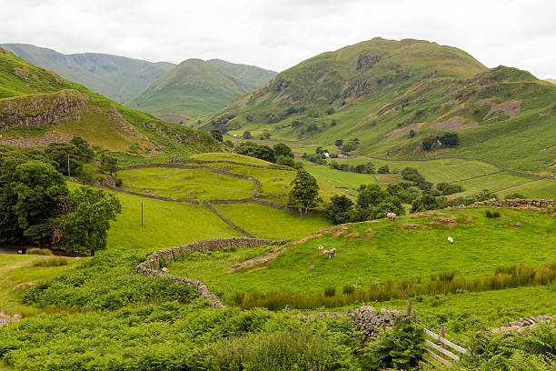 istock Lake District countryside Martindale Valley Cumbria England uk 466997670