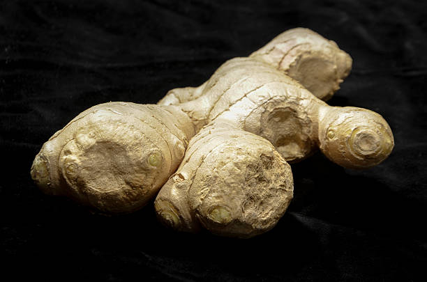 spicy fresh ginger fresh juicy spicy ginger root karlheinz böhm stock pictures, royalty-free photos & images