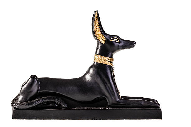 Anubis the egyptian god Anubis isolated over a white background horus photos stock pictures, royalty-free photos & images