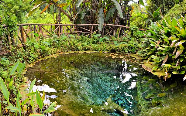istock Incredibly Vibrant Clear Blue Water Pond in tropical forest 467004610