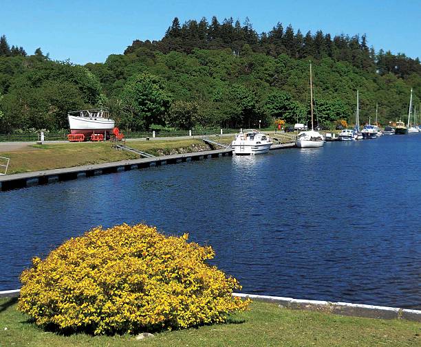 canale caledoniano a loch ness vicino a inverness - scotland loch ness inverness fort augustus foto e immagini stock