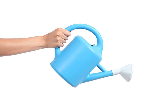 Woman hand holding a watering can