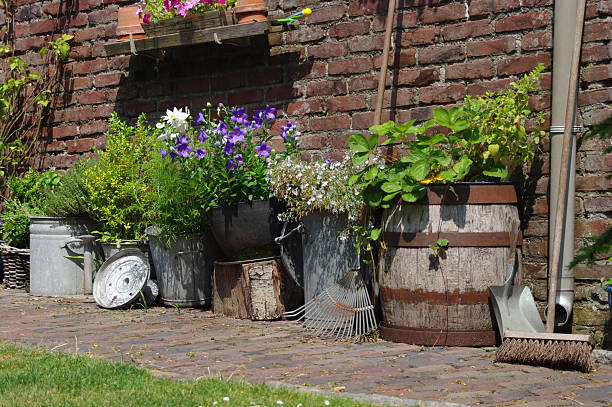 istock Still life in the garden 467009341