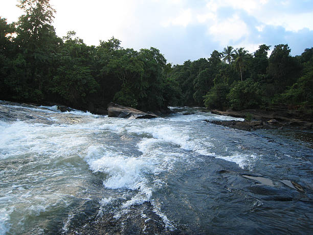 Forest & river in western ghats(karkala, udupi) of karnataka, India stock photo