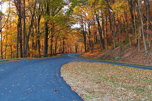 Forest Road in Fall A curved section of the Blue Ridge Parkway in Fall, showing autumn foliage. mt mitchell stock pictures, royalty-free photos & images