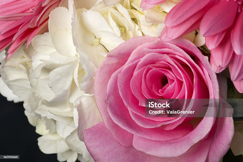 Rose et l'Hortensia bouquet dans le studio. - Photo de Bouquet formel libre de droits