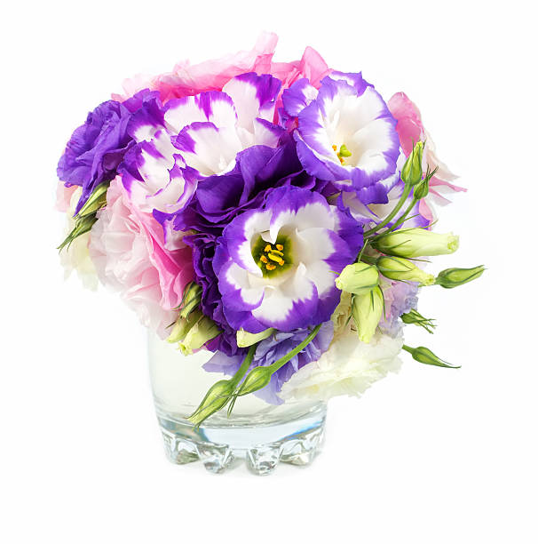Beautiful bouquet of eustoma flowers in vase stock photo