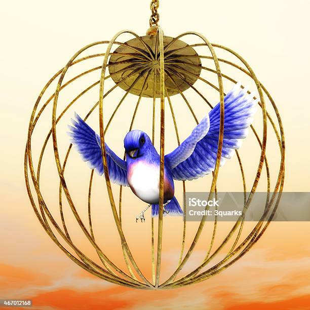 Golden Cage Stock Photo - Download Image Now - Cage, Gold Colored, Bluebird - Bird