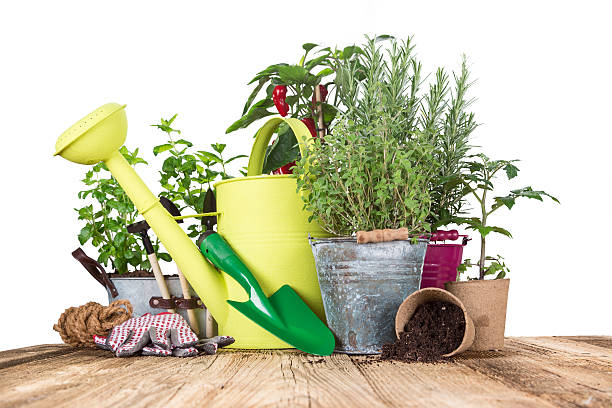 istock Outdoor gardening tools and herbs 467012578