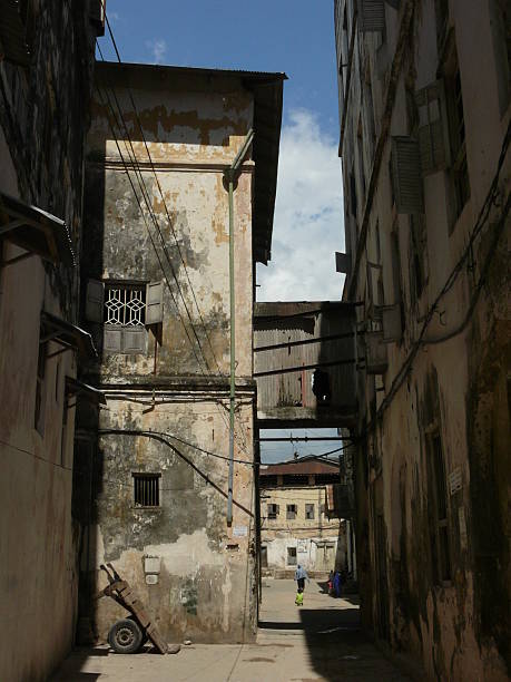 istock Zanzibar Street 467013529