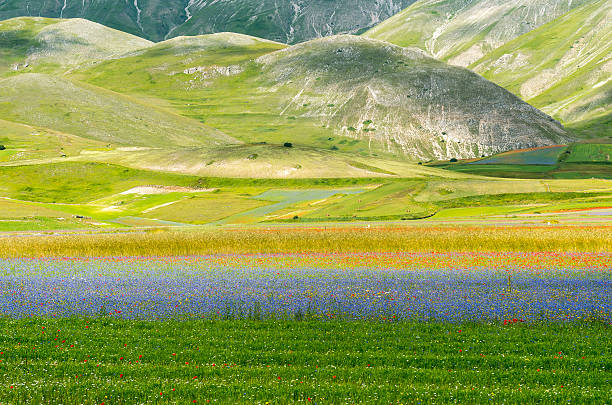 istock Piano Grande di Castelluccio (Italy) 467015344