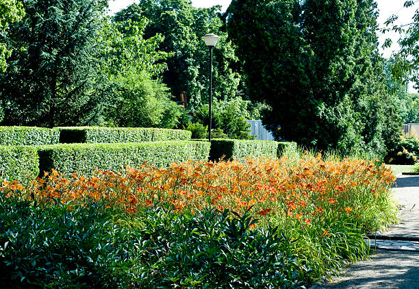 Public garden with orange flowers, bushes and trees stock photo