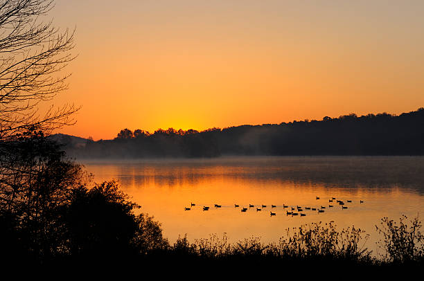 Sunrise Over Foggy Lake stock photo