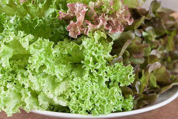 istock Fresh hydroponic vegetables on wooden table 467017216