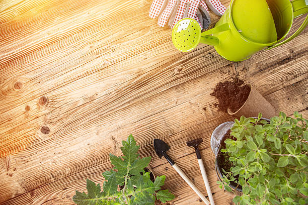 istock Outdoor gardening tools and herbs 467020016