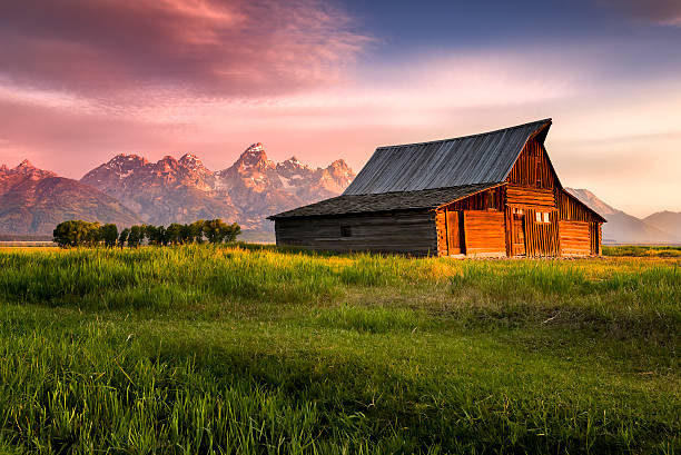 T. A. Moulton Barn Early morning sunshine illuminating the iconic Moulton barn and Teton peaks in Grand Teton National Park, WY mormonism stock pictures, royalty-free photos & images