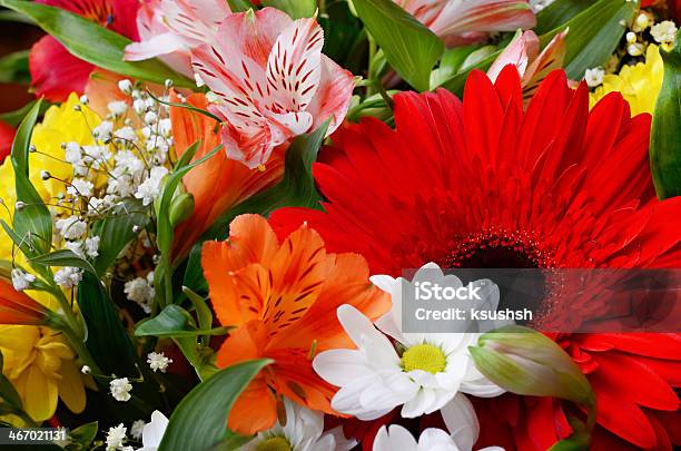 Bouquet Of Flowers Stock Photo - Download Image Now - Anniversary, Arrangement, Aster