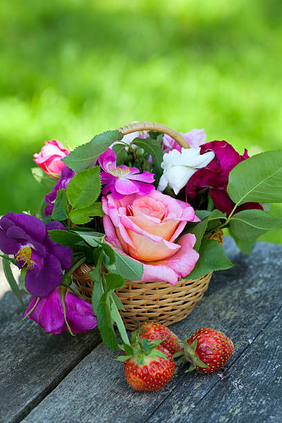 istock basket with roses and strawberries on garden table 467022069