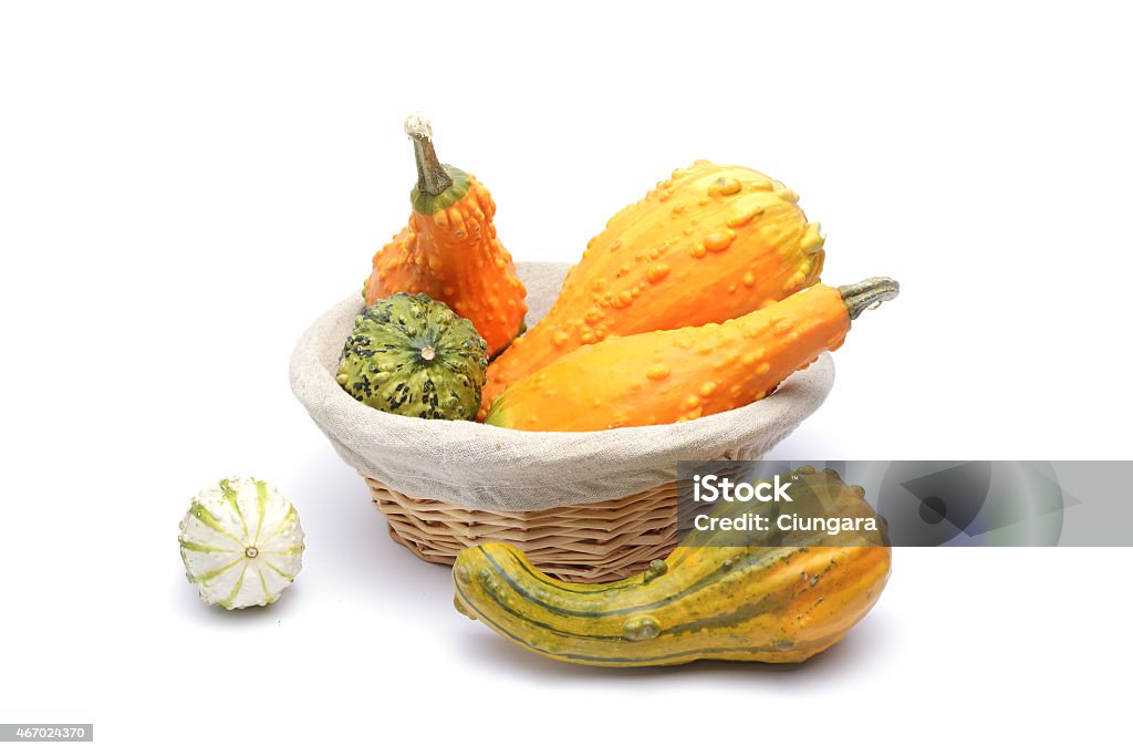 Basket and colorful pumpkins collection 2015 Stock Photo