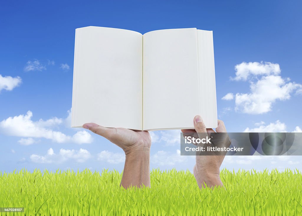 Man hands holding book on green grass with blue sky Man hands holding book on green grass with blue sky background Accessibility Stock Photo