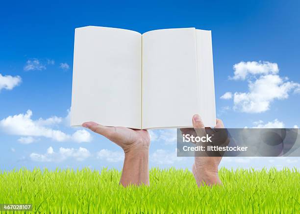 Man Hands Holding Book On Green Grass With Blue Sky Stock Photo - Download Image Now