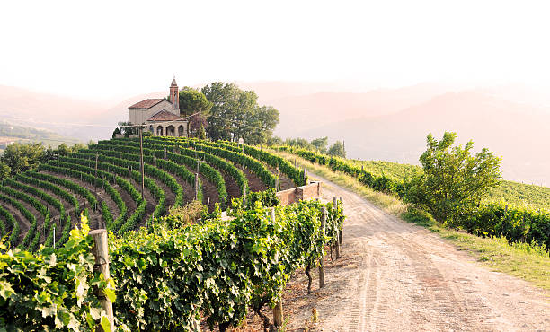 landscape with vineyards and church landscape with vineyards and church in Italy, Piedmont piedmont italy photos stock pictures, royalty-free photos & images