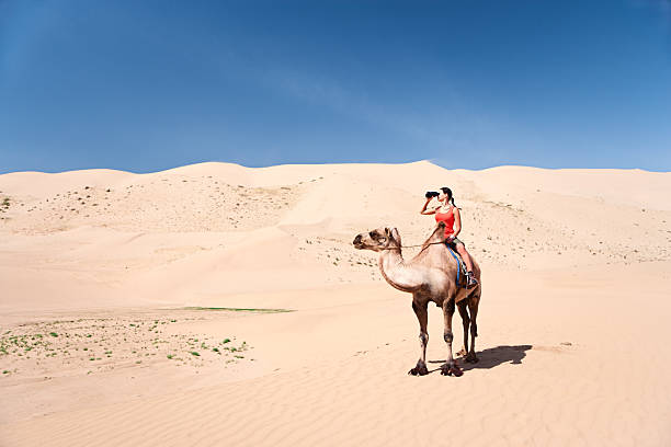 istock Young woman is looking through a binoculars on the camel 467030013