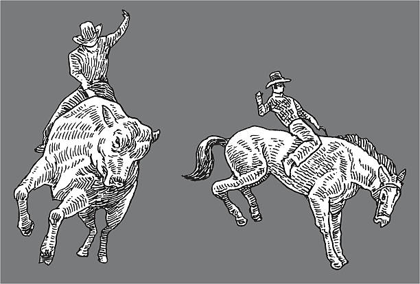 illustrazioni stock, clip art, cartoni animati e icone di tendenza di cowboy da rodeo cowboy - rodeo bull bull riding cowboy