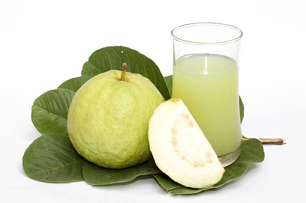 Guava isolated stock photo