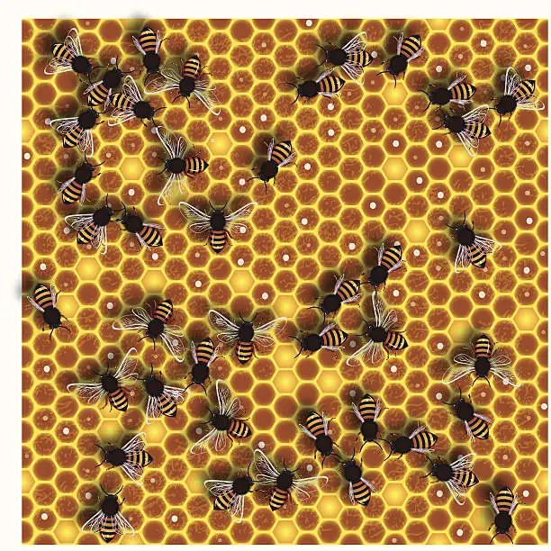 Vector illustration of Seamless Honeybee Background
