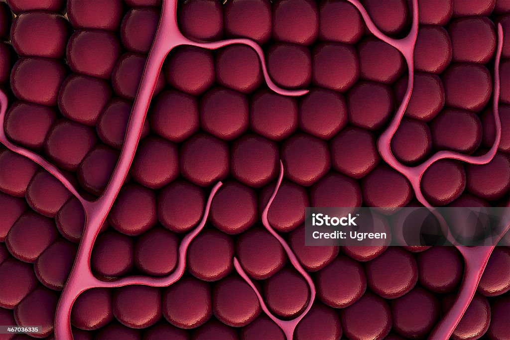 Células, capilar - Foto de stock de Anticuerpo libre de derechos