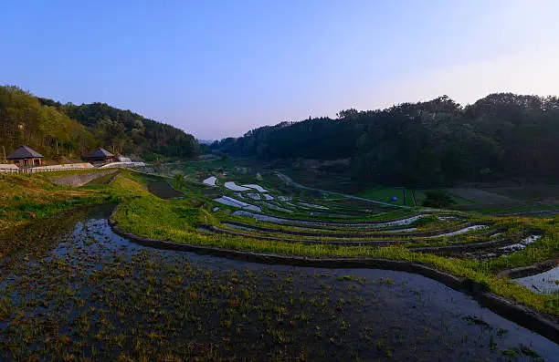 Yokone rice paddies at dusk in Iida city, Nagano prefecture, Japan.