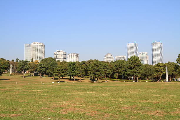 Park and Highrise condominium Highrise condominium in Yokohama, Japan mm21 stock pictures, royalty-free photos & images