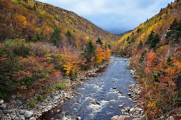 istock MacKenzie River, Cabot Trail, Cape Breton, Nova Scotia 467038573
