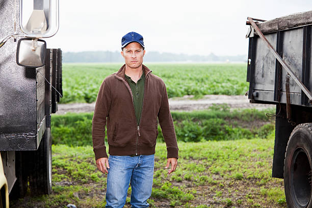 istock Man working on potato farm standing by trucks 467044305
