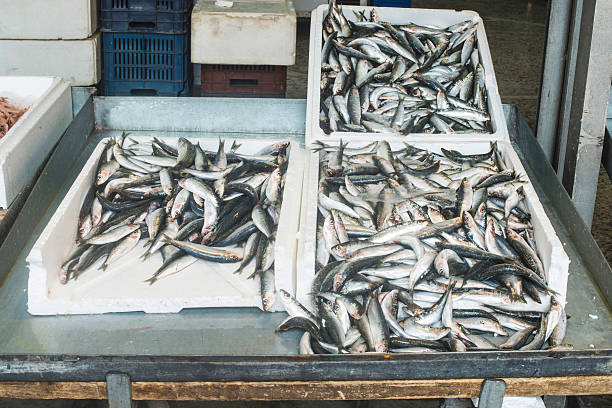 istock Fish on ice in the market 467047654