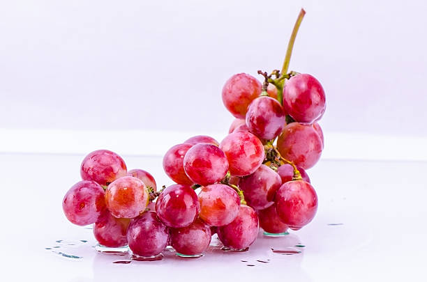 Red grape stock photo