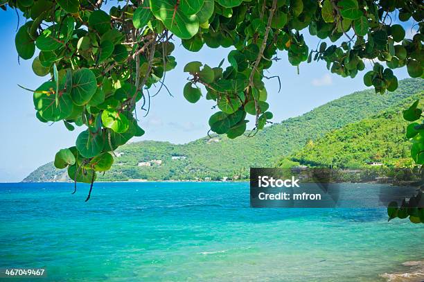 Hermosa Vista De Tórtola Las Islas Vírgenes Británicas Foto de stock y más banco de imágenes de Abierto