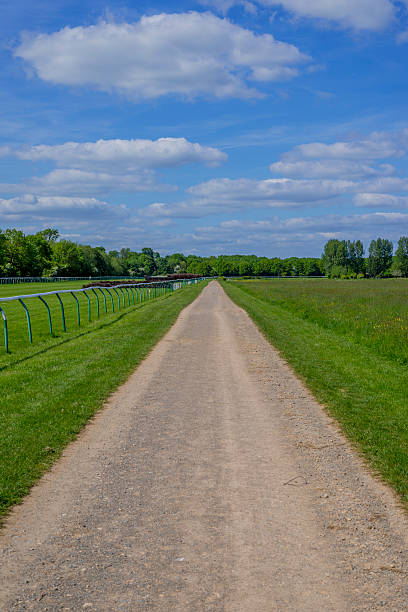 경마장 - horse racing warwickshire sports venue turf 뉴스 사진 이미지