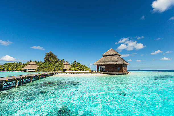 beach villas di piccola isola tropicale - isole maldive foto e immagini stock