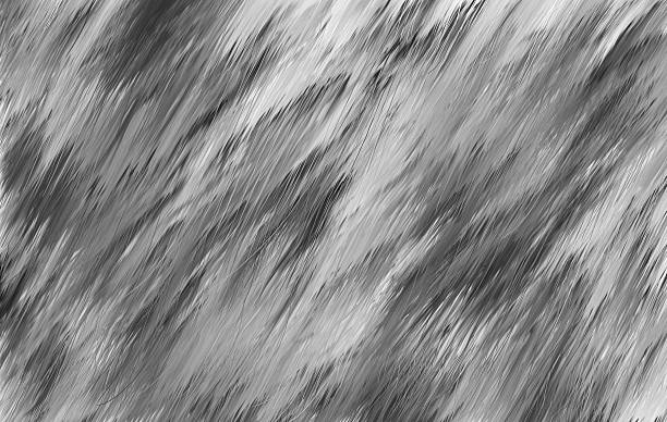 Digital illustration of fur Black & White