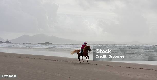 Nur Ich Und Meine Horse Stockfoto und mehr Bilder von Berg - Berg, Riding, Wales