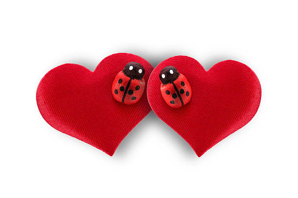 сердца и пара божья коровка на день святого валентина концепция - felt heart shape small red стоковые фото и изображения